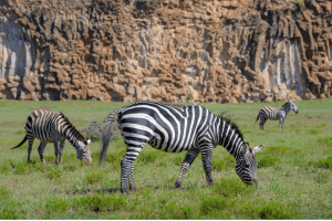 Hells Gate - 8 Days Aberdare Kenya Safari