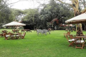 Lake Naivasha Country Club - 8 Days Aberdare Kenya Safari