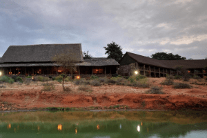 Kilaguni Serena Safari Lodge - Kenya Wildlife Safaris