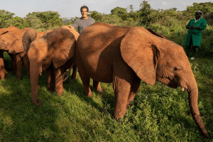 Sheldrick Wildlife Trust - Kenya Wildlife Safari